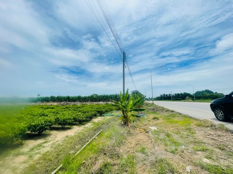 ที่ดินขาณุวรลักษบุรี กำแพงเพชร, Kamphaeng Phet, Yang Sung, Khanu Woralaksaburi, Kamphaeng Phet, , 4,424 sqm, Land For Sale, by The Best Property หน่อย, 500417185 - DDproperty.com