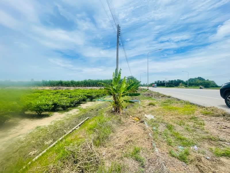 ที่ดินขาณุวรลักษบุรี กำแพงเพชร, กำแพงเพชร, ยางสูง, ขาณุวรลักษบุรี, กำแพงเพชร, 4,424 ตร.ม., ที่ดิน ขาย, โดย The Best Property หน่อย, 500417185 - DDproperty.com