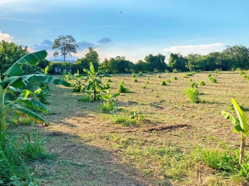 ที่ดินปากช่อง นครราชสีมา, Nakhon Ratchasima, Phyayen, Pak Chong, Nakhon Ratchasima, , 7,632 sqm, Land For Sale, by The Best Property ต้อม, 500417238 - DDproperty.com