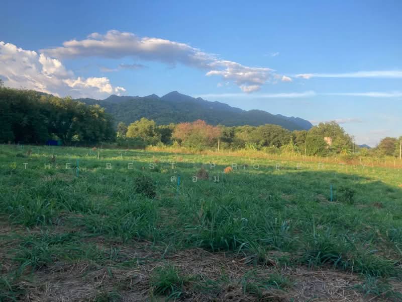 ที่ดินปากช่อง นครราชสีมา, นครราชสีมา, พญาเย็น, ปากช่อง, นครราชสีมา, 7,632 ตร.ม., ที่ดิน ขาย, โดย The Best Property ต้อม, 500417238 - DDproperty.com