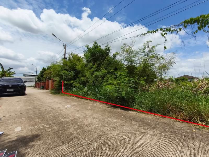 Land for sale, Petchakasem 81, Bangkok, มาเจริญ 1, Nong Kang Plu, Nong Khaem, Bangkok, , 800 sqm, Land For Sale, by จิตติมา TT, 500417488 - DDproperty.com