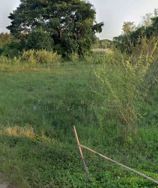 ที่ดินสันทราย เชียงราย, Chiang Rai, Sun Sai, Muang Chiang Rai, Chiang Rai, , 2,376 sqm, Land For Sale, by The Best Property ต่าย, 500417697 - DDproperty.com