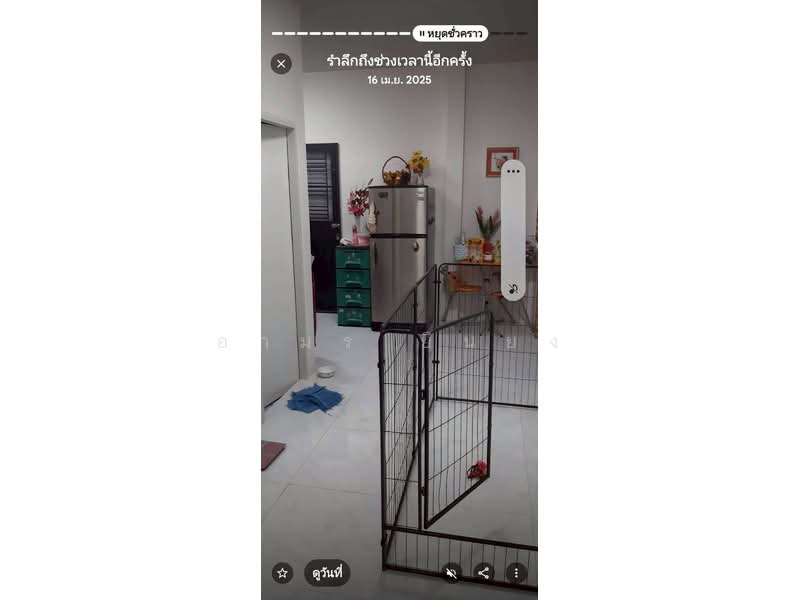 ขายบ้านเดี่ยว โซนสารภี, Chiang Mai, Nong Phaeng, Saraphi, Chiang Mai, 2 Bedrooms, 85 sqm, Single Detached House For Sale, by Armon Yuenyong, 500417839 - DDproperty.com