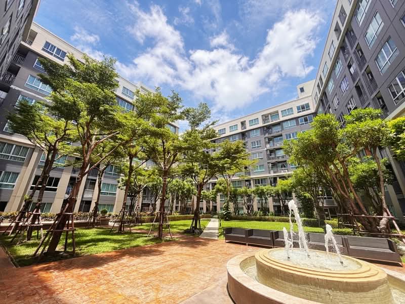 Dcondo Campus Resort Ratchapruek-Charan 13 : ดีคอนโด แคมปัส รีสอร์ท ราชพฤกษ์-จรัญฯ13, กรุงเทพ, บางแวก, ภาษีเจริญ, กรุงเทพ, 31 ตร.ม., คอนโด ขาย, โดย The Best Property พิมมี่, 500417932 - DDproperty.com