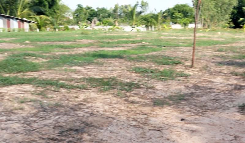 ที่ดินหนองหญ้าไซ สุพรรณบุรี, Suphan Buri, Nong Ratchawat, Nong Ya Sai, Suphan Buri, , 4,924 sqm, Land For Sale, by The Best Property กิต, 500418046 - DDproperty.com