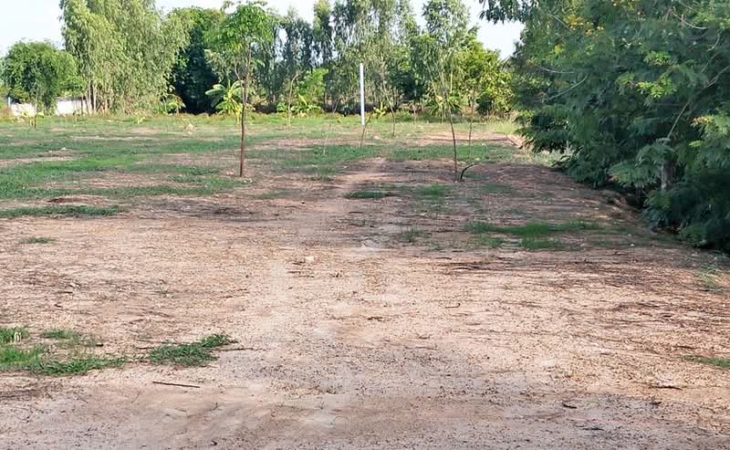 ที่ดินหนองหญ้าไซ สุพรรณบุรี, Suphan Buri, Nong Ratchawat, Nong Ya Sai, Suphan Buri, , 4,924 sqm, Land For Sale, by The Best Property กิต, 500418046 - DDproperty.com