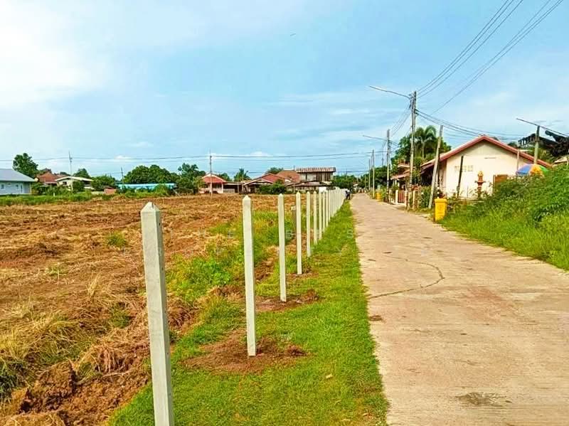 ที่ดินวิเชียรบุรี เพชรบูรณ์, เพชรบูรณ์, ท่าโรง, วิเชียรบุรี, เพชรบูรณ์, 10,480 ตร.ม., ที่ดิน ขาย, โดย The Best Property ไข่, 500418085 - DDproperty.com