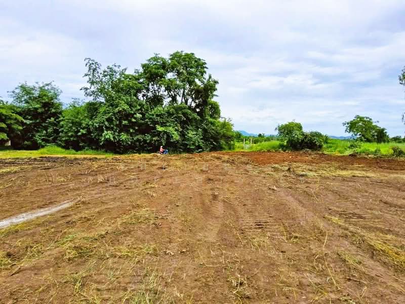 ที่ดินวิเชียรบุรี เพชรบูรณ์, เพชรบูรณ์, ท่าโรง, วิเชียรบุรี, เพชรบูรณ์, 10,480 ตร.ม., ที่ดิน ขาย, โดย The Best Property ไข่, 500418085 - DDproperty.com
