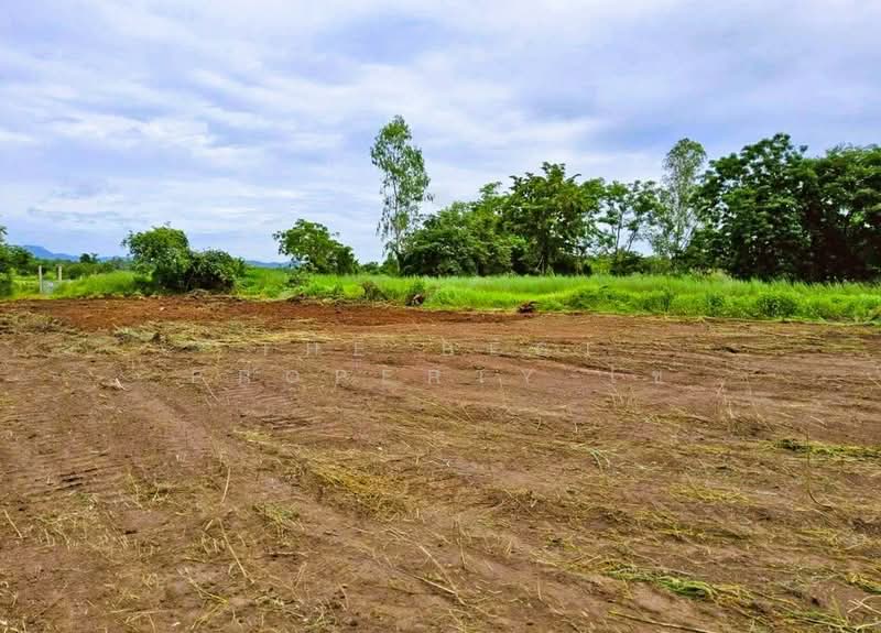 ที่ดินวิเชียรบุรี เพชรบูรณ์, เพชรบูรณ์, ท่าโรง, วิเชียรบุรี, เพชรบูรณ์, 10,480 ตร.ม., ที่ดิน ขาย, โดย The Best Property ไข่, 500418085 - DDproperty.com