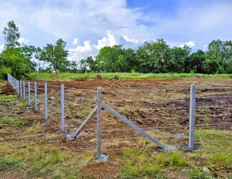ที่ดินวิเชียรบุรี เพชรบูรณ์, เพชรบูรณ์, ท่าโรง, วิเชียรบุรี, เพชรบูรณ์, 10,480 ตร.ม., ที่ดิน ขาย, โดย The Best Property ไข่, 500418085 - DDproperty.com