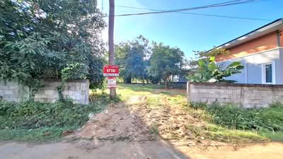 ขาย - ที่ดินจังหาร ร้อยเอ็ด, ร้อยเอ็ด