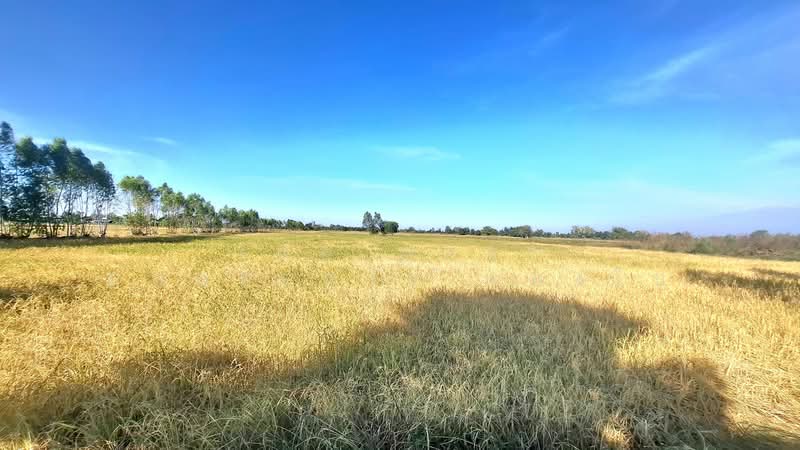 ที่ดินจังหาร ร้อยเอ็ด, ร้อยเอ็ด, ปาฝา, จังหาร, ร้อยเอ็ด, 13,064 ตร.ม., ที่ดิน ขาย, โดย The Best Property ทองใบ, 500418205 - DDproperty.com
