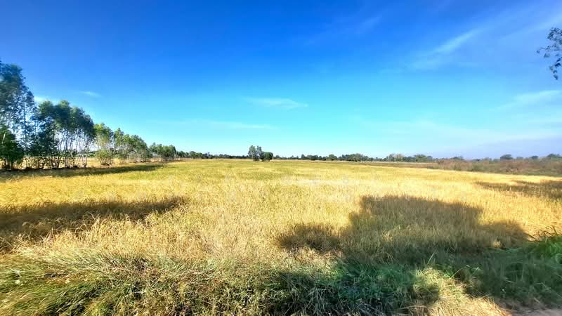 ที่ดินจังหาร ร้อยเอ็ด, Roi Et, Pa Fa, Chang Han, Roi Et, , 13,064 sqm, Land For Sale, by The Best Property ทองใบ, 500418205 - DDproperty.com