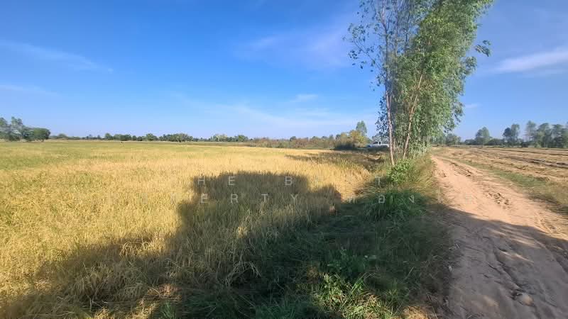 ที่ดินจังหาร ร้อยเอ็ด, Roi Et, Pa Fa, Chang Han, Roi Et, , 13,064 sqm, Land For Sale, by The Best Property ทองใบ, 500418205 - DDproperty.com