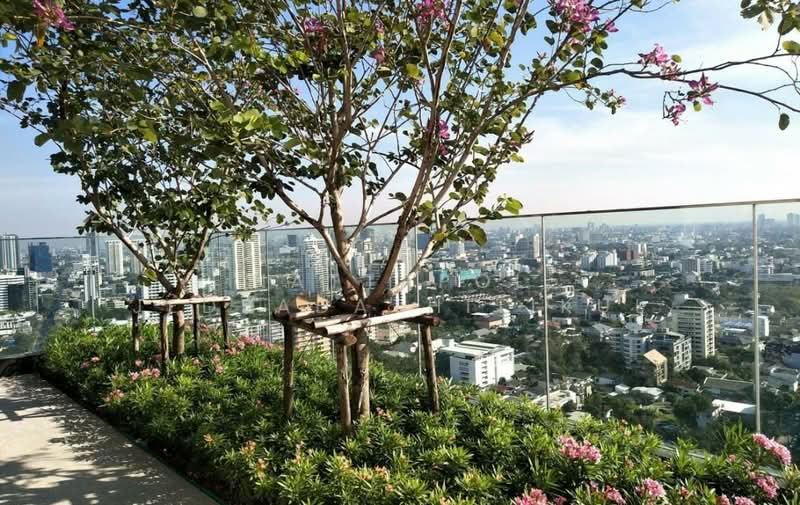 Rhythm Ekkamai, Bangkok, 11 Soi Sukhumvit 63, Khlongtoei Nua, Watthana, Bangkok, Studio, 30 sqm, Condo For Rent, by Nattapol Jedsadathitikul, 500418539 - DDproperty.com