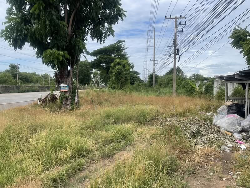 ขายที่ดินถมแล้ว 17 ไร่ แยกนพวงศ์ ลาดหลุมแก้ว ปทุมธานี, ปทุมธานี, หน้าไม้, ลาดหลุมแก้ว, ปทุมธานี, 27,964 ตร.ม., ที่ดิน ขาย, โดย ชนิจนันท์ มีวงศ์อุโฆษ, 500418568 - DDproperty.com