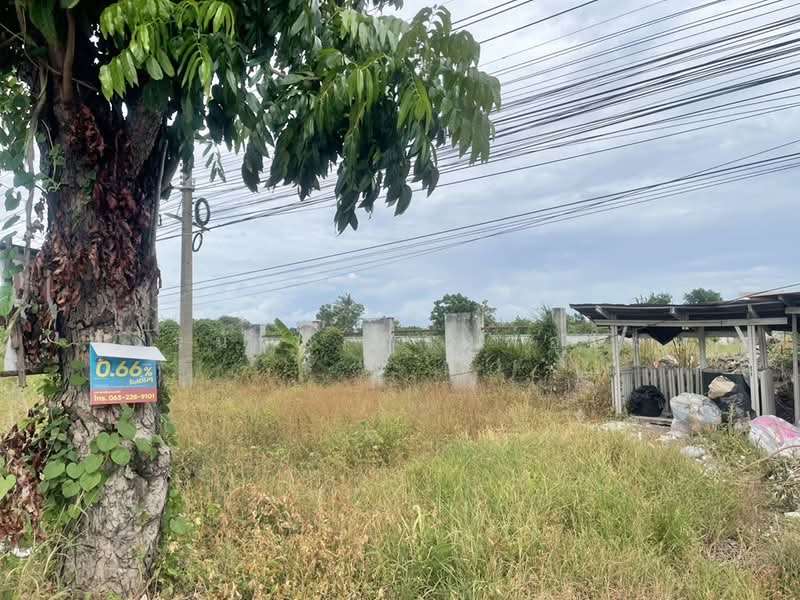 ขายที่ดินถมแล้ว 17 ไร่ แยกนพวงศ์ ลาดหลุมแก้ว ปทุมธานี, ปทุมธานี, หน้าไม้, ลาดหลุมแก้ว, ปทุมธานี, 27,964 ตร.ม., ที่ดิน ขาย, โดย ชนิจนันท์ มีวงศ์อุโฆษ, 500418568 - DDproperty.com