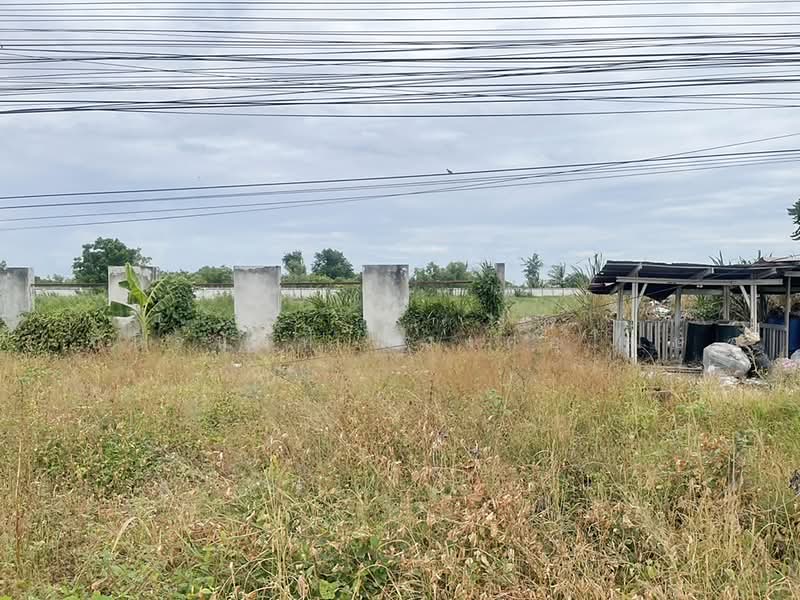 ขายที่ดินถมแล้ว 17 ไร่ แยกนพวงศ์ ลาดหลุมแก้ว ปทุมธานี, ปทุมธานี, หน้าไม้, ลาดหลุมแก้ว, ปทุมธานี, 27,964 ตร.ม., ที่ดิน ขาย, โดย ชนิจนันท์ มีวงศ์อุโฆษ, 500418568 - DDproperty.com