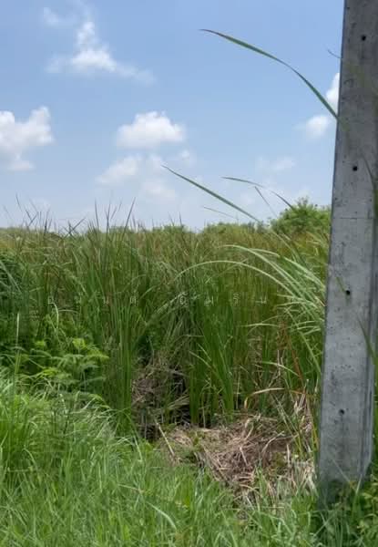 Land for Sale in Klaeng District, Rayong Province, 9 Rai 2 Ngan 62 Sq.wah, Hua Samet Alley, Near Thu, Rayong, Noen Kho, Klaeng, Rayong, , 15,448 sqm, Land For Sale, by อนันต์ อัมรินทร์, 500418586 - DDproperty.com