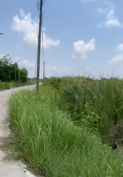 Land for Sale in Klaeng District, Rayong Province, 9 Rai 2 Ngan 62 Sq.wah, Hua Samet Alley, Near Thu, Rayong, Noen Kho, Klaeng, Rayong, , 15,448 sqm, Land For Sale, by อนันต์ อัมรินทร์, 500418586 - DDproperty.com