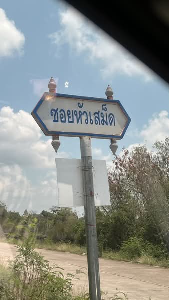 ขายที่ดิน อ.แกลง จ.ระยอง 9 ไร่ 2 งาน 62 ตร.ว. ซอยหัวเสม็ด ใกล้ชายหาดทุ่งคา, ระยอง, เนินฆ้อ, แกลง, ระยอง, 15,448 ตร.ม., ที่ดิน ขาย, โดย อนันต์ อัมรินทร์, 500418586 - DDproperty.com
