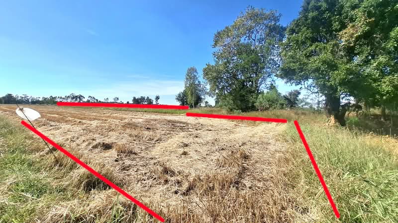 ที่ดินจังหาร ร้อยเอ็ด, Roi Et, Pa Fa, Chang Han, Roi Et, , 5,220 sqm, Land For Sale, by The Best Property ทองใบ, 500418614 - DDproperty.com