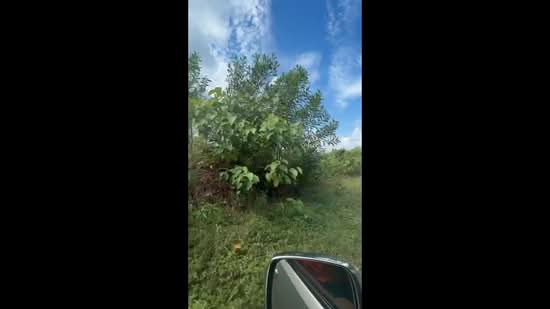 Land for sale, 17 rai 3 ngan 42 square wah, located on a four-lane road between the Monument and Mua, Phuket, Pa Khlok, Thalang, Phuket, , 28,568 sqm, Land For Sale, by Pawarisa Shanivet, 500418634 - DDproperty.com