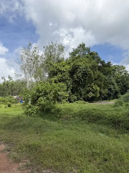 Land for sale, 17 rai 3 ngan 42 square wah, located on a four-lane road between the Monument and Mua, Phuket, Pa Khlok, Thalang, Phuket, , 28,568 sqm, Land For Sale, by Pawarisa Shanivet, 500418634 - DDproperty.com