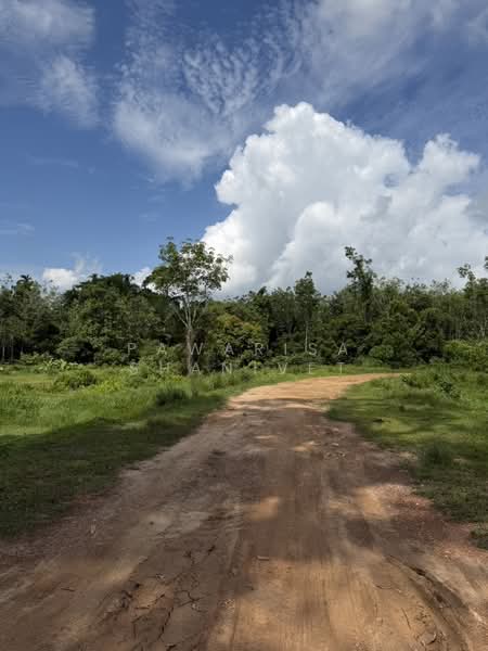 Land for sale, 17 rai 3 ngan 42 square wah, located on a four-lane road between the Monument and Mua, Phuket, Pa Khlok, Thalang, Phuket, , 28,568 sqm, Land For Sale, by Pawarisa Shanivet, 500418634 - DDproperty.com