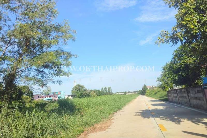 ต.คลองสี่ อ.คลองหลวง จ.ปทุมธานี, Pathum Thani, Khlong Si, Khlong Luang, Pathum Thani, , 200 sqm, Land For Sale, by ณณัฐ ภัทรจินดานุวงศ์, 500418735 - DDproperty.com