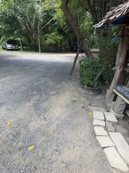 15 rai of land located along a four-lane road from the Monument to Muang Mai, Thalang District, Phuk, Phuket, Sri Sunthon, Thalang, Phuket, , 24,452 sqm, Land For Sale, by Pawarisa Shanivet, 500418755 - DDproperty.com