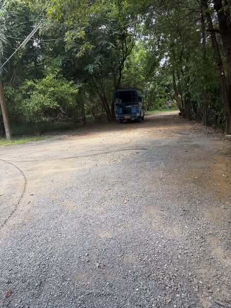 15 rai of land located along a four-lane road from the Monument to Muang Mai, Thalang District, Phuk, Phuket, Sri Sunthon, Thalang, Phuket, , 24,452 sqm, Land For Sale, by Pawarisa Shanivet, 500418755 - DDproperty.com