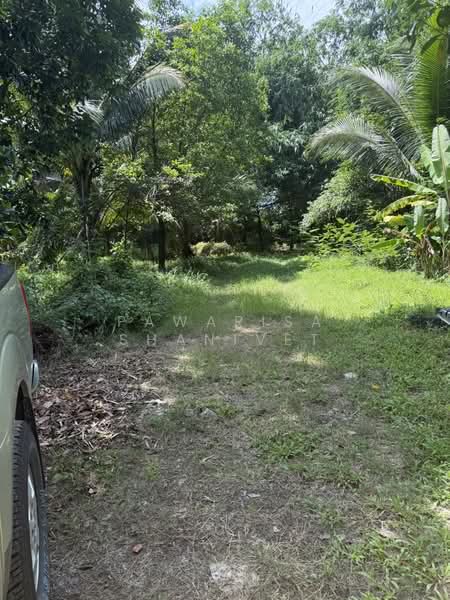 15 rai of land located along a four-lane road from the Monument to Muang Mai, Thalang District, Phuk, Phuket, Sri Sunthon, Thalang, Phuket, , 24,452 sqm, Land For Sale, by Pawarisa Shanivet, 500418755 - DDproperty.com