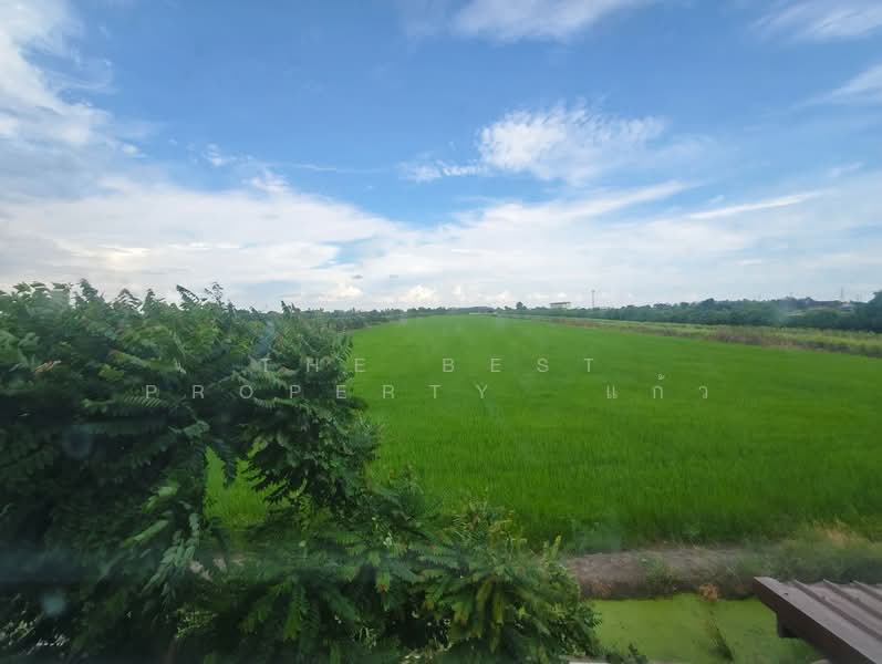 หมู่บ้านพฤกษาพนาลี 36 คลองอุดมชลจร ฉะเชิงเทรา, ฉะเชิงเทรา, คลองอุดมชลจร, เมืองฉะเชิงเทรา, ฉะเชิงเทรา, 150 ตร.ม., ทาวน์เฮ้าส์ ขาย, โดย The Best Property แก้ว, 500418759 - DDproperty.com