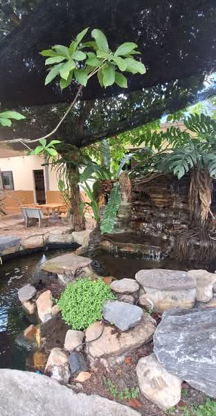 บ้านเดี่ยวพร้อมที่ดินท่าเรือ นครศรีธรรมราช, Nakhon Si Thammarat, Tha Rua, Muang Nakhon Sri Thammarat, Nakhon Si Thammarat, 1 Bedroom, 150 sqm, Single Detached House For Sale, by The Best Property เบล, 500418848 - DDproperty.com