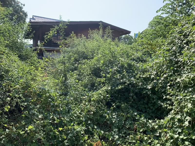 Lat Pla Khao, Bangkok, ลาดปลาเค้า 56, Chorake Bua, Lat Phrao, Bangkok, , 476 sqm, Land For Sale, by Ratchaneewan Maneerangsrisuwan, 500418861 - DDproperty.com