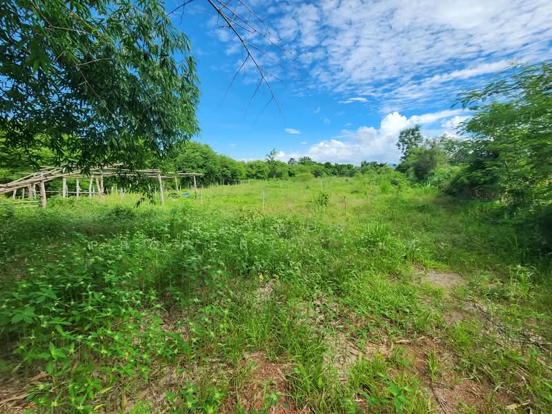 ที่ดินพร้อมสิ่งปลูกสร้างน้ำพุ ราชบุรี, ราชบุรี, น้ำพุ, เมืองราชบุรี, ราชบุรี, 4,624 ตร.ม., ที่ดิน ขาย, โดย The Best Property  แท่ง, 500418949 - DDproperty.com