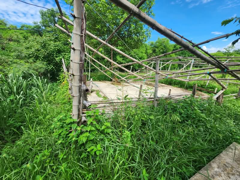 ที่ดินพร้อมสิ่งปลูกสร้างน้ำพุ ราชบุรี, Ratchaburi, Nam Phu, Muang Ratchaburi, Ratchaburi, , 4,624 sqm, Land For Sale, by The Best Property  แท่ง, 500418949 - DDproperty.com