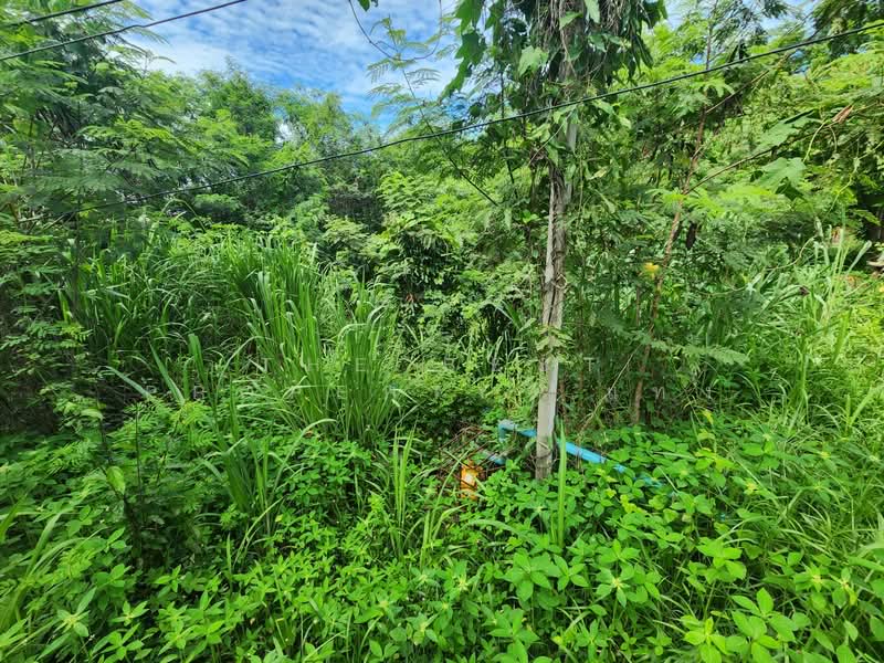 ที่ดินพร้อมสิ่งปลูกสร้างน้ำพุ ราชบุรี, Ratchaburi, Nam Phu, Muang Ratchaburi, Ratchaburi, , 4,624 sqm, Land For Sale, by The Best Property  แท่ง, 500418949 - DDproperty.com