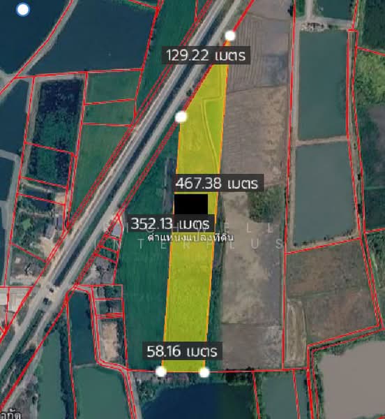 ขายที่ดินหน้าประดู่ 13 ไร่ ติดถนนลาดยาง ใกล้แยกพานทอง(ถนน3466)-4กม. อ.พานทอง, ชลบุรี, หน้าประดู่, พานทอง, ชลบุรี, 21,636 ตร.ม., ที่ดิน ขาย, โดย RICHWELL INTERPLUS, 500419101 - DDproperty.com