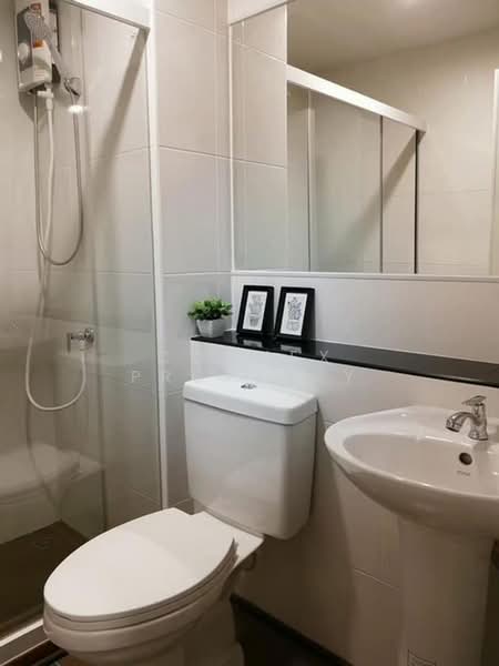 Regent Home Sukhumvit 97/1, Bangkok, Soi Sukhumvit 97/1, Bang Chak, Phra Khanong, Bangkok, 1 Bedroom, 28 sqm, Condo For Rent, by Connex Property, 500419298 - DDproperty.com