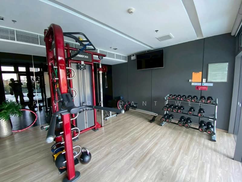 Whizdom Connect Sukhumvit : วิสซ์ดอม คอนเนค สุขุมวิท, กรุงเทพ, 1 ซอยปิยบุตร์ 1 ถนนสุขุมวิท, บางนา, กรุงเทพ, 43 ตร.ม., คอนโด ให้เช่า, โดย Pinyada Hantewee, 500419414 - DDproperty.com