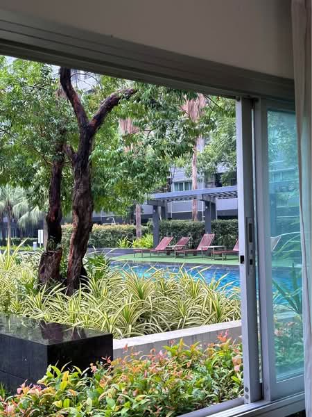 Elio Del Ray, Bangkok, 95 Sukhumvit 64 Road, Bang Chak, Phra Khanong, Bangkok, 1 Bedroom, 34 sqm, Condo For Sale, by Araya Laokham, 500420063 - DDproperty.com