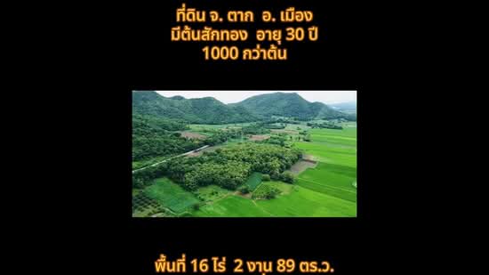 ที่ดิน วังหิน เมืองตาก 16 ไร่ 2 งาน 89 ตร.ว. มีต้นสักทอง 1,xxx กว่าต้น (2.8 แสน/ไร่), Tak, พหลโยธินสายเก่า 104, Wang Hin, Muang Tak, Tak, , 26,756 sqm, Land For Sale, by Wasan Wasati, 500420487 - DDproperty.com