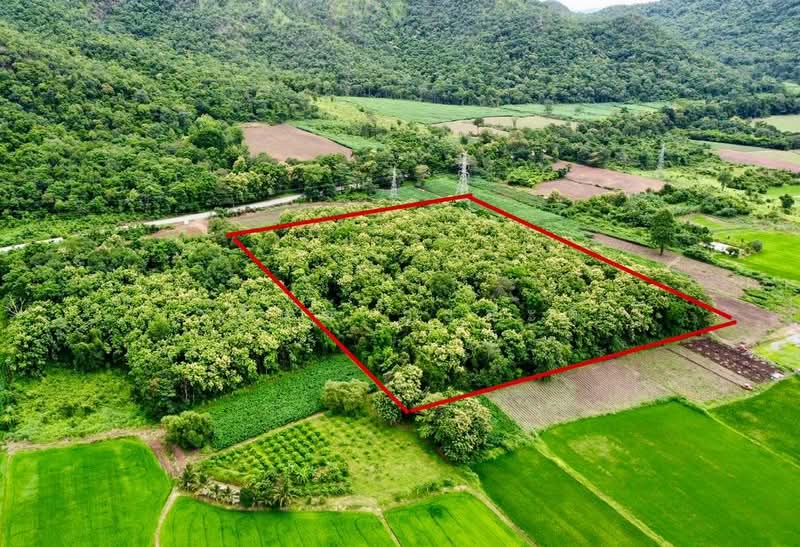 ที่ดิน วังหิน เมืองตาก 16 ไร่ 2 งาน 89 ตร.ว. มีต้นสักทอง 1,xxx กว่าต้น (2.8 แสน/ไร่), Tak, พหลโยธินสายเก่า 104, Wang Hin, Muang Tak, Tak, , 26,756 sqm, Land For Sale, by Wasan Wasati, 500420487 - DDproperty.com
