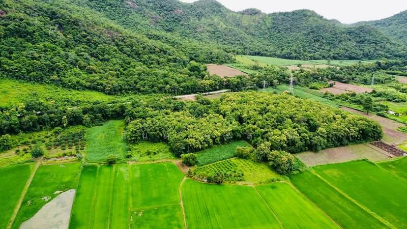 ที่ดิน วังหิน เมืองตาก 16 ไร่ 2 งาน 89 ตร.ว. มีต้นสักทอง 1,xxx กว่าต้น (2.8 แสน/ไร่), Tak, พหลโยธินสายเก่า 104, Wang Hin, Muang Tak, Tak, , 26,756 sqm, Land For Sale, by Wasan Wasati, 500420487 - DDproperty.com