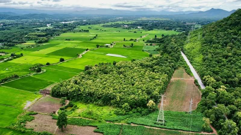 ที่ดิน วังหิน เมืองตาก 16 ไร่ 2 งาน 89 ตร.ว. มีต้นสักทอง 1,xxx กว่าต้น (2.8 แสน/ไร่), ตาก, พหลโยธินสายเก่า 104, วังหิน, เมืองตาก, ตาก, 26,756 ตร.ม., ที่ดิน ขาย, โดย วสันต์ วะสะติ, 500420487 - DDproperty.com