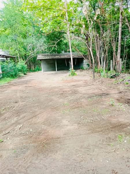 ที่ดิน วังหิน เมืองตาก 16 ไร่ 2 งาน 89 ตร.ว. มีต้นสักทอง 1,xxx กว่าต้น (2.8 แสน/ไร่), Tak, พหลโยธินสายเก่า 104, Wang Hin, Muang Tak, Tak, , 26,756 sqm, Land For Sale, by Wasan Wasati, 500420487 - DDproperty.com