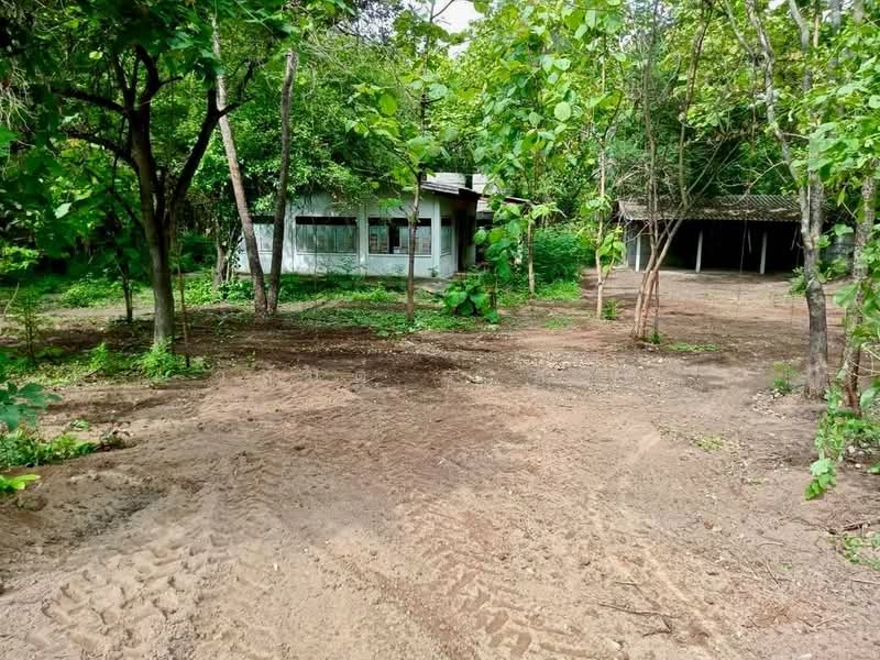 ที่ดิน วังหิน เมืองตาก 16 ไร่ 2 งาน 89 ตร.ว. มีต้นสักทอง 1,xxx กว่าต้น (2.8 แสน/ไร่), Tak, พหลโยธินสายเก่า 104, Wang Hin, Muang Tak, Tak, , 26,756 sqm, Land For Sale, by Wasan Wasati, 500420487 - DDproperty.com