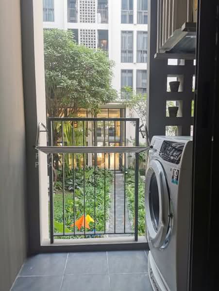Chambers On-Nut Station, Bangkok, Soi Sukhumvit 81, Sukhumvit Road, Phra Kanong Nua, Watthana, Bangkok, 1 Bedroom, 27 sqm, Condo For Rent, by Patcharames Pattharapornviboon, 500420523 - DDproperty.com